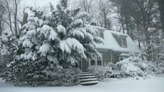 Winter Cabin in a Snowstorm  Falling Snow amp Heavy Winds Blowing  Natural White Noise for Sleep [upl. by Rases492]