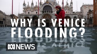 Why is Venice flooding  ABC News [upl. by Sieracki]