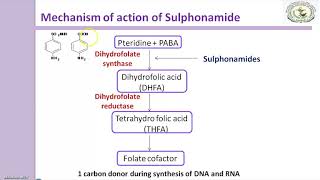 Sulfonamides Mechanism of action [upl. by Oironoh711]