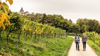 Weinweg Weinfelden [upl. by Fayette]