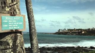 A Look at Outrigger Resorts in Maui [upl. by Layod]